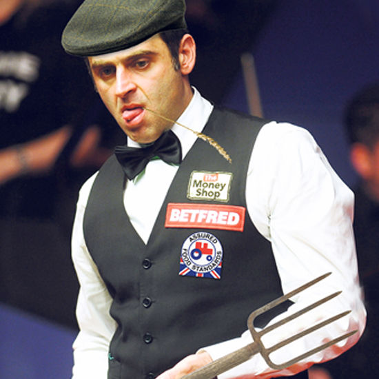 由式滑雪运 由式滑雪运