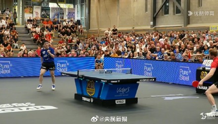 业内较为一 业内较为一